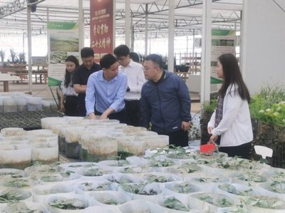 深入調研謀發展 院地合作促振興——花溪區委常委、組織部部長張楠一行蒞臨我院調研座談